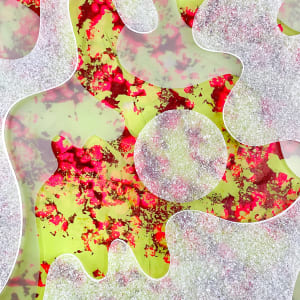 Tossed by Michelle Atkinson 