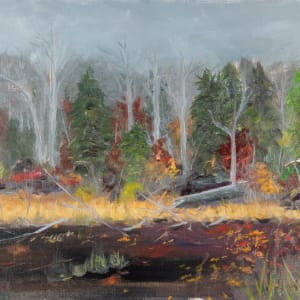 Eagles Mere in Fall by Frank Martin