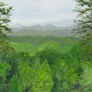 Great Smoky Overlook 1 by Frank Martin