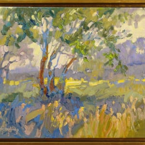 Beauty in The Shadows by Barbara Schilling 