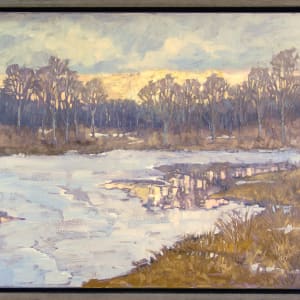 Settling Into Night by Barbara Schilling 