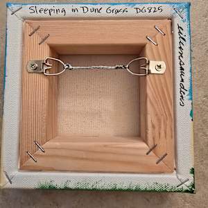 Sleeping in Dune Grass by Eileen Saunders 