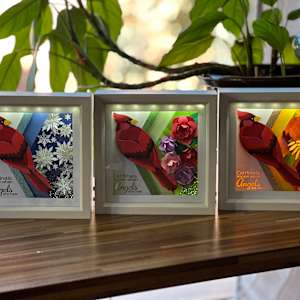 Winter's Whisper B.O.X. by JD Hecht  Image: The Full Collection