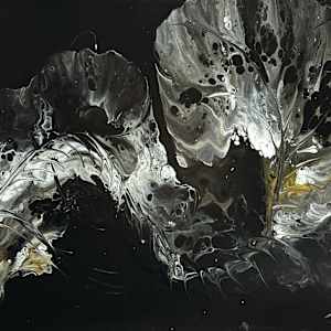 Nightbloom Fold by JD Hecht 