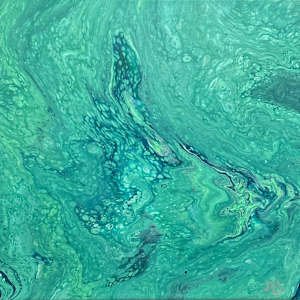 Tidemint by JD Hecht 
