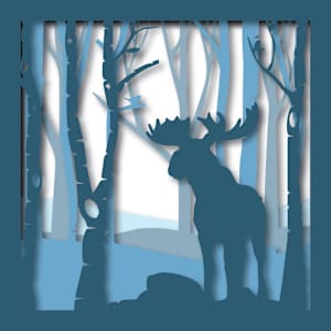 Majestic Wilderness B.O.X. by JD Hecht 