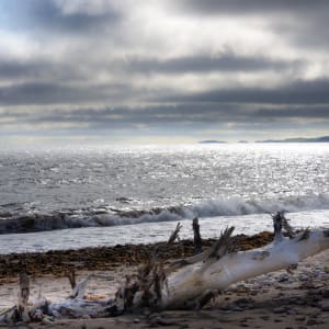 Markland Water by Bob Burnett