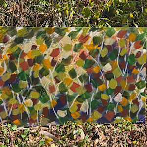 Unruly Grace by Kate Hessling 