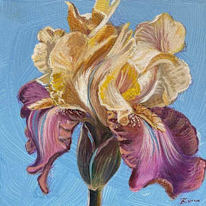 Painterly Iris by Beth Walldorf