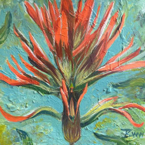 Indian Paintbrush (White Frame) by Beth Walldorf