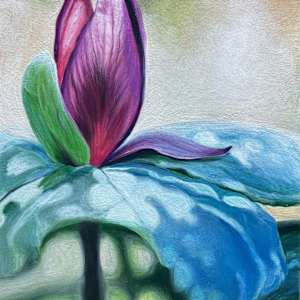 Trillium at Wheeler Refuge by Beth Walldorf