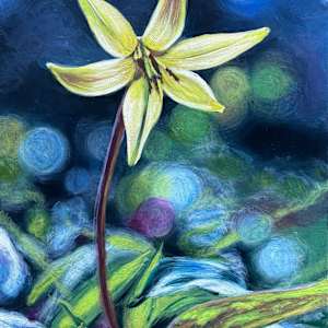 Trout Lily at the Huntsville Wildflower Trail by Beth Walldorf