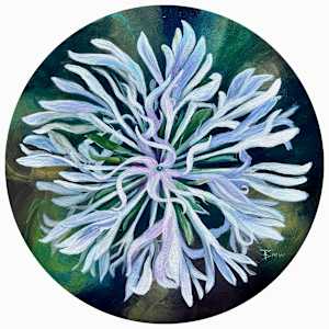 Mohr’s Barbara’s Button by Beth Walldorf