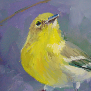 Lunch at the Pie Plate II: Pine Warbler by Catherine Kauffman 