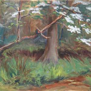 Under the Dogwood by Catherine Kauffman