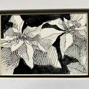 Dance of the Pointsettias by Catherine Kauffman