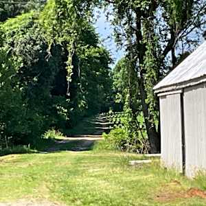 Kendall Farm Road in May by Catherine Kauffman  Image: The sun bursts out!