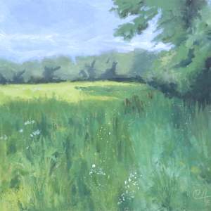 Sun Streaks Across A Meadow by Catherine Kauffman