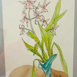 Pink Peaking Orchid by Jake Bialos