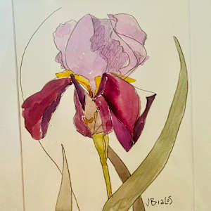 Iris Totem by Jake Bialos 