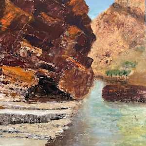Waterhole Larapinta by Ian Collins