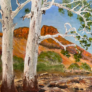 Mt Sona with gums by Ian Collins