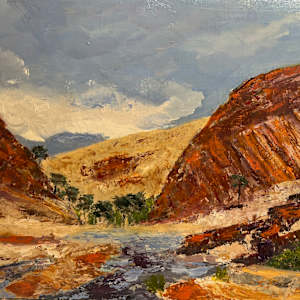 Larapinta colours by Ian Collins