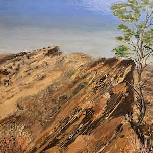 Larapinta ridge by Ian Collins