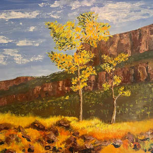 Yellows in the outback by Ian Collins