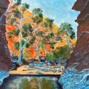 Waterhole on Larapinta by Ian Collins