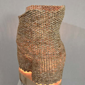 Torso by Sony Purba
