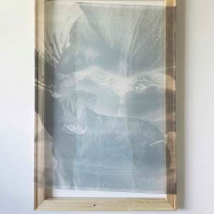 *Botanical Veil* by TATIANA JOHNSON  Image: Installation View