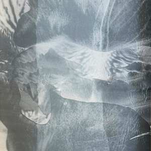 *Botanical Veil* by TATIANA JOHNSON  Image: Detail: Surface