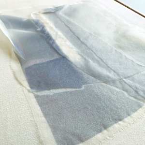 *Shadow Carrier I* by tatiana__ johnson  Image: Detail — tonal dispersion