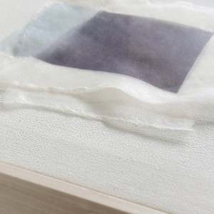 *Shadow Carrier IV* by tatiana__ johnson  Image: Detail — layered polyester
