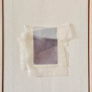 *Shadow Carrier IV* by tatiana__ johnson