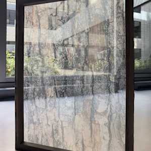 *Shadow Plane (Bark Study)* by TATIANA JOHNSON  Image: Reverse view — translucent layers