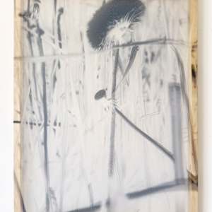 *Twinned Exposures* by tatiana__ johnson  Image: In situ view