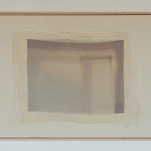 *Shadow Carrier II* by tatiana__ johnson  Image: In situ view