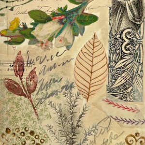 REVISED EDITION by Phyllis Brody  Image: page