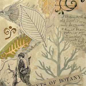 REVISED EDITION by Phyllis Brody  Image: page