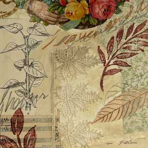 REVISED EDITION by Phyllis Brody  Image: page