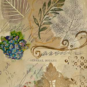 REVISED EDITION by Phyllis Brody  Image: page