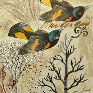 REVISED EDITION by Phyllis Brody  Image: page