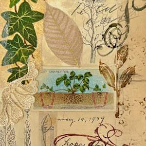 REVISED EDITION by Phyllis Brody  Image: page