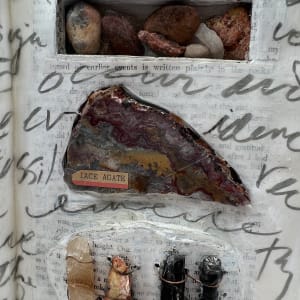 DEEP TIME AND THE FOSSIL RECORD by Phyllis Brody 