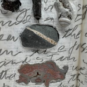 DEEP TIME AND THE FOSSIL RECORD by Phyllis Brody 