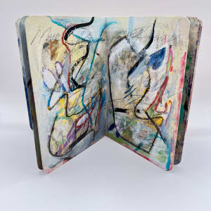 WHAT A BOOK CAN BE by Phyllis Brody 