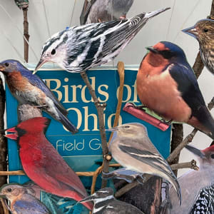 TAKING FLIGHT by Phyllis Brody  Image: detail