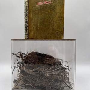 BIRD'S BUSY by Phyllis Brody 